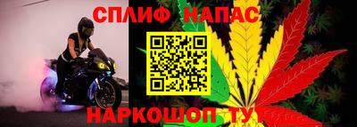 ГАЛЛЮЦИНОГЕННЫЕ ГРИБЫ Уссурийск