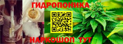 индика Чебоксары