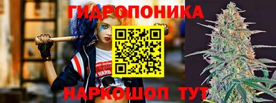 ГАЛЛЮЦИНОГЕННЫЕ ГРИБЫ Усть-Джегута