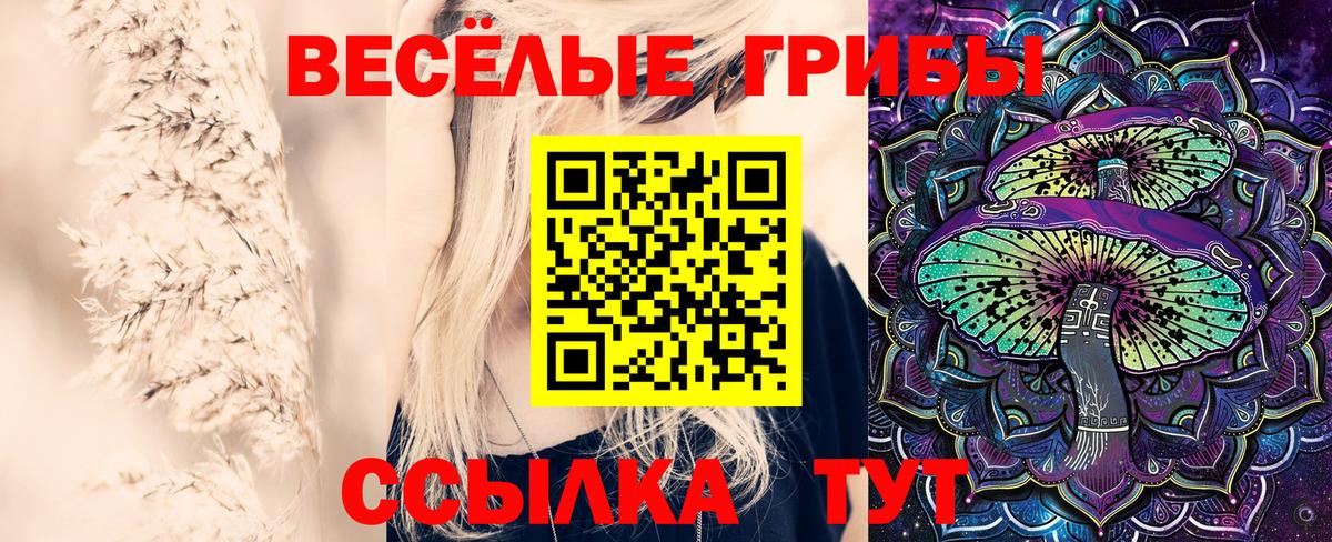 Псилоцибиновые грибы прущие грибы  Вход с VPN  Нововоронеж  Псилоцибиновые грибы Psilocybe 