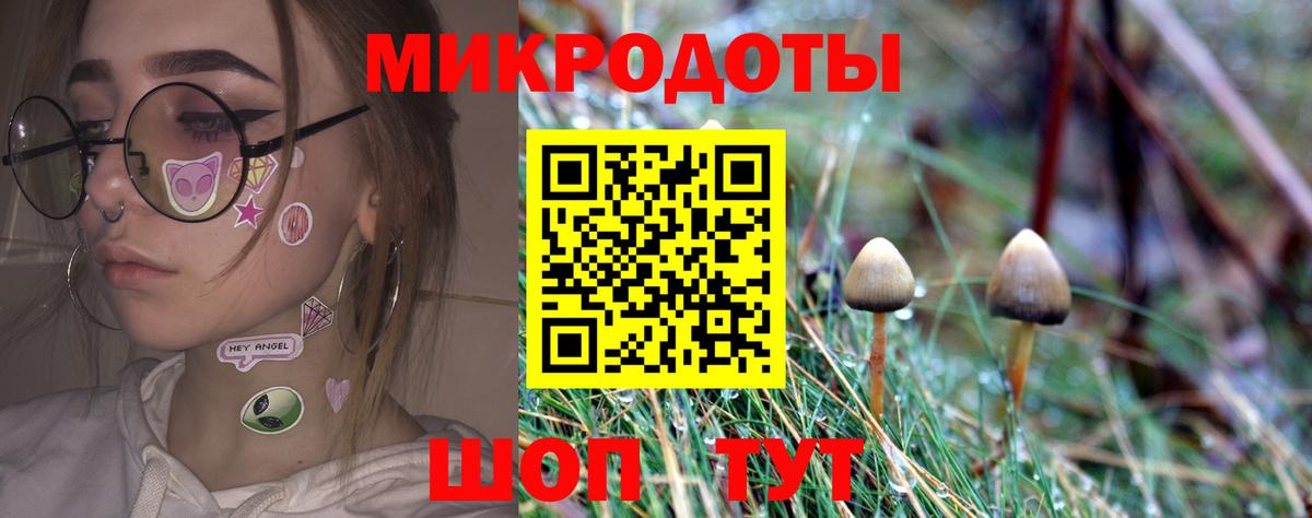 Псилоцибиновые грибы GOLDEN TEACHER Нововоронеж